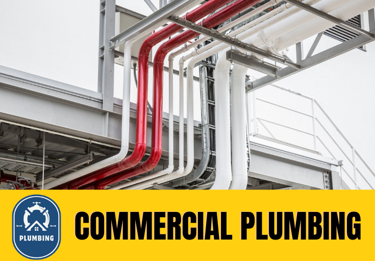 commercial plumbing Chatham