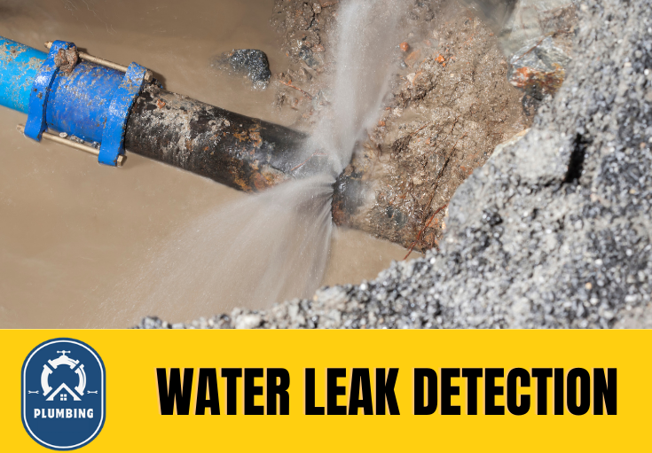 leak detection Chatham